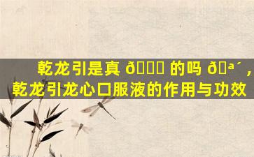 乾龙引是真 🐎 的吗 🪴 ,乾龙引龙心口服液的作用与功效